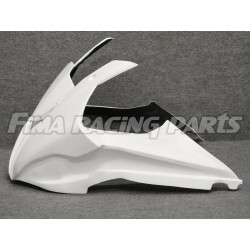 S1000 RR 19 Rennverkleidungssatz GFK für BMW