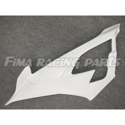 S1000 RR 19 Rennverkleidungssatz GFK für BMW