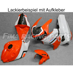 Design 053 Lackierbeispiel Honda