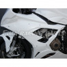 S1000 RR 19 lackiert Rennverkleidungssatz GFK für BMW