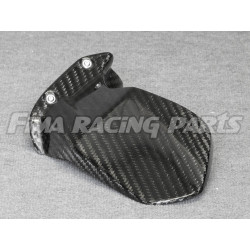 V4 Autoclave Carbon Hinterradabdeckung für Ducati