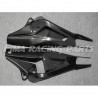S 1000 RR 19- Schwingenschutz Carbon BMW