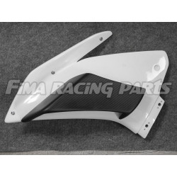 RSV 4 09-19 Winglets GFK Aprilia