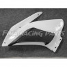 RSV 4 09-19 Winglets GFK Aprilia