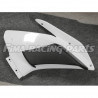 RSV 4 09-19 Winglets GFK Aprilia