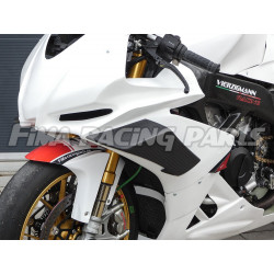 RSV 4 09-19 Winglets GFK Aprilia