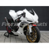RSV 4 09-19 Winglets GFK Aprilia