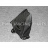 CARBON - HINTERRADABDECKUNG BMW S1000 RR 09/13