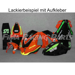 Design 057 Lackierbeispiel für Kawasaki