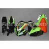 Design 059 Lackierbeispiel für Kawasaki