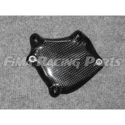 Carbon-Motorschutz komplett ZX10 R 04-05