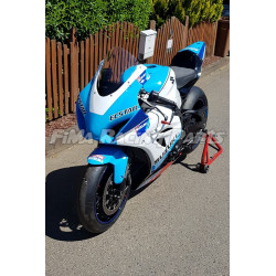 Design 073 Lackierbeispiel Suzuki