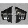 V4 Premium GFK Winglets für Ducati