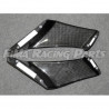 RSV 4 09-19 Winglets Carbon für Aprilia