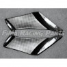 RSV 4 09-19 Winglets GFK Aprilia