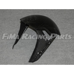 S1000 RR 19 Kotflügel Carbon für BMW