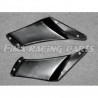 RSV 4 09-20 Winglets GFK für Aprilia
