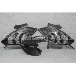 V4 Autoclave Carbon 400g Verkleidung für Ducati