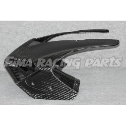 V4 Autoclave Carbon 400g Verkleidung für Ducati