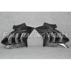 V4 Autoclave Carbon 400g Verkleidung für Ducati