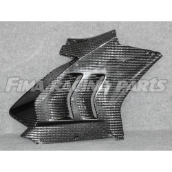 V4 Autoclave Carbon 400g Verkleidung für Ducati