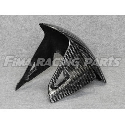 V4 Autoclave Carbon 400g Verkleidung für Ducati