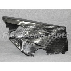 V4 Autoclave Carbon 400g Verkleidung für Ducati