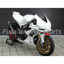 RSV 4 09-19 Winglets Carbon für Aprilia