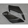 RSV 4 09-19 Winglets Carbon für Aprilia