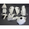 Premium GFK Rennverkleidung Kawasaki ZX6 R 09-12