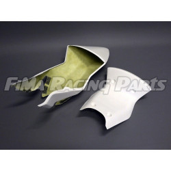 Premium GFK Rennverkleidung Kawasaki ZX6 R 09-12