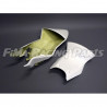 Premium GFK Rennverkleidung Kawasaki ZX6 R 09-12