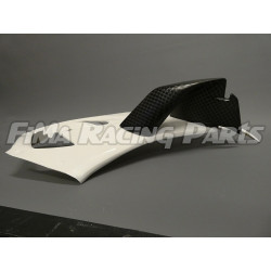 S1000RR 19-21 Winglets GFK lackiert für BMW