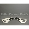 S1000RR 19-21 Winglets GFK lackiert für BMW