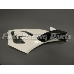 S1000RR 19-21 Winglets GFK lackiert für BMW