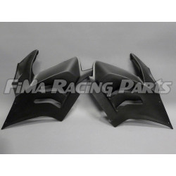 V4 Premium GFK grundiert Rennverkleidung  Ducati