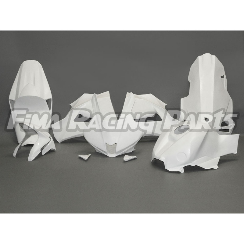 CBR 600 2024- Premium GFRP dipinto Honda