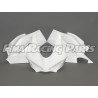 V4 Premium GFK Rennverkleidungssatz lackiert Ducati