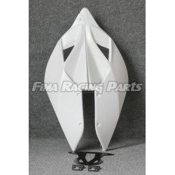 1199 Coupe de course laquée GFK Premium pour Ducati