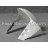 1199 Premium GFK lacquered racing trim for Ducati