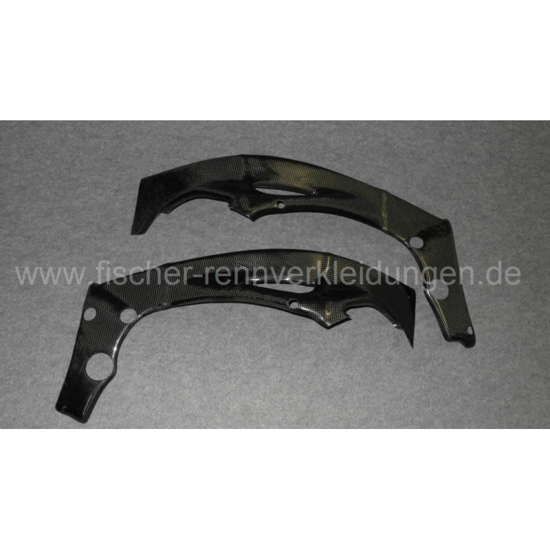 FIMA Carbon Rahmenschoner R1 09-13