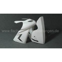 VERKLEIDUNG KOMPLETT ZX-10R/04-05