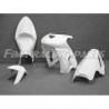 RENNVERKLEIDUNGSSATZ GFK ZX6 R-RR/05-06