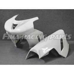 RENNVERKLEIDUNGSSATZ GFK ZX6 R-RR/07-08