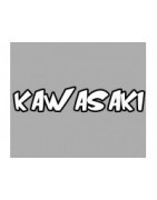 Kawasaki Lackierbeispiele