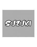 Suzuki Lackierbeispiele
