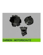 Carbon-Motorschutz 